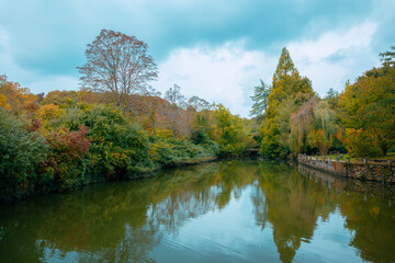 Autumn photo. Pond or lake in the forest or park at autumn