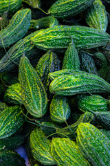 fresh organic bitter guard from farm close up from different angle