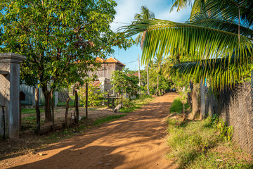 trees in the village