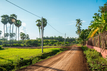 landscape with river countryside
