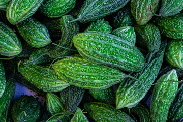 fresh organic bitter guard from farm close up from different angle