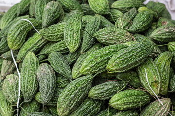fresh organic bitter guard from farm close up from different angle