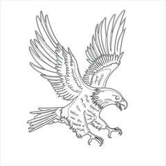 Eagle Coloring page , Eagle cartoon , American Eagle 