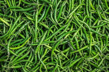 fresh organic green chilli from farm close up from different angle