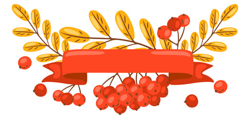 Background from rowan sprigs with berries. Image of autumn plant. - obrazy, fototapety, plakaty