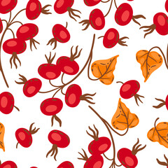 Seamless pattern of branches with rose hips. Image of autumn plant.