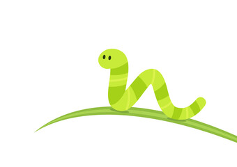 Green worm on white background. worm insects on the leaf. wallpaper. free space for text. copy space.