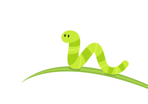 Green worm on white background. worm insects on the leaf. wallpaper. free space for text. copy space.