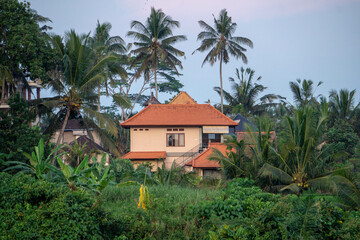 bali