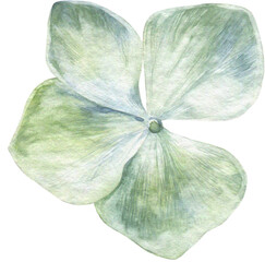 Enchanted Watercolor Clipart 04 © Pixelbuddha Studio