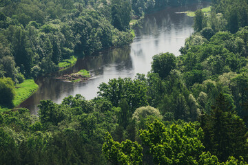 Fototapeta na wymiar View from above on a green forest in summer through which the river flows