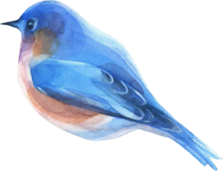 Summer Bloom Watercolor Set 09