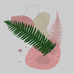 Green ftrn branch abstraction