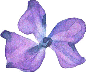 Summer Bloom Watercolor Set 32