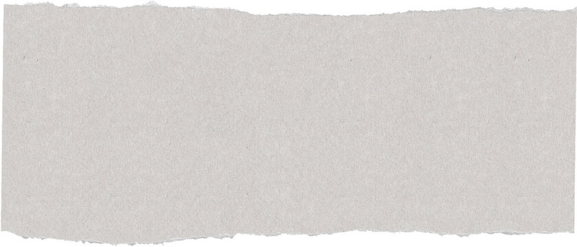 Torn Paper Mockup 14