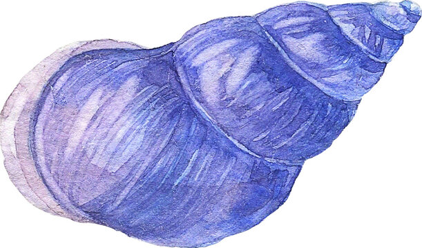 Watercolor Enthusiast Graphic Kit 50