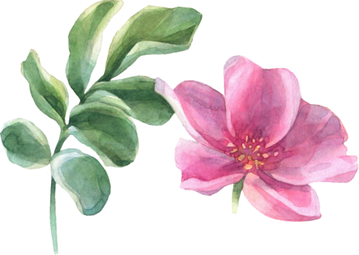 Summer Bloom Watercolor Set 73