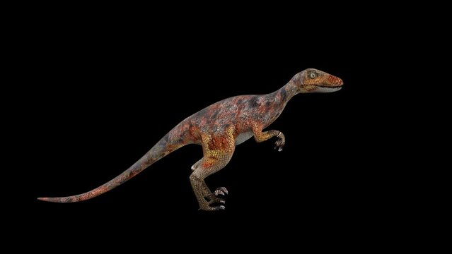 Deinonychus Royalty-Free Images, Stock Photos & Pictures