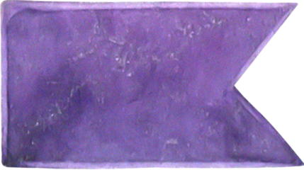 Watercolor Feathers and Leaves 51