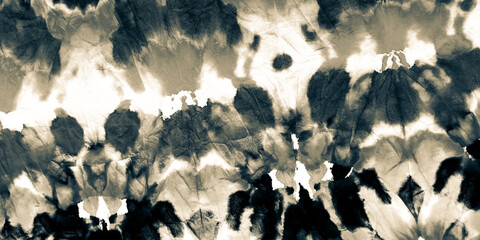 Gray Shibori Designs. Splash Colour. Elegant Tye