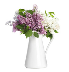 Beautiful lilac flowers in vase isolated on white