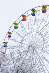 ferris wheel in the park