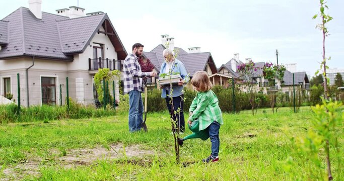 Little boy watering tree after planting in garden. Summertime house and work. Father and grandfather talking on background. Help from small boy.