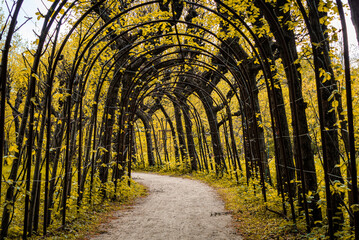 Arch in a colorful autumn garden