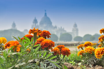 Flowers and Victoria Memorial, Kolkata , India . A Historical Monument of Indian Architecture. It...