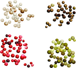 Black, green, white, and pink peppercorns. Vector flat illustration