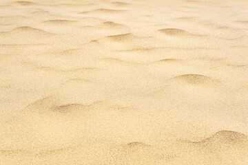 wind ripples on the sandy surface in the desert