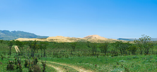 Naklejka premium road in semi-desert steppe landscape in the vicinity of the Sarykum sand dune