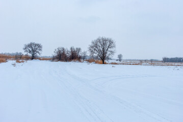 landscape with snow covered trees