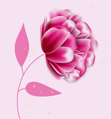Realistic Pink peony flowers bud isolated on pink background, vector illustration