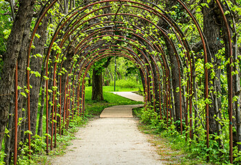 Fototapeta na wymiar Arch in a green spring garden