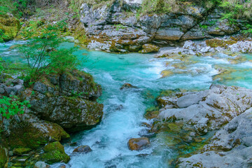 Naklejka na ściany i meble The beautifull emerald green river Soca in the middle of the triglav national park, Slovenia