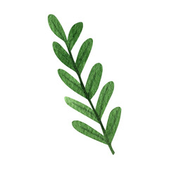 Green forest leaves watercolor clipart. Illustration of summer greenery.