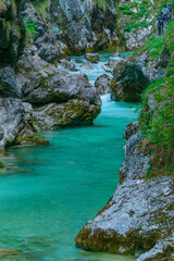 Fototapeta na wymiar The beautifull emerald green river Soca in the middle of the triglav national park, Slovenia