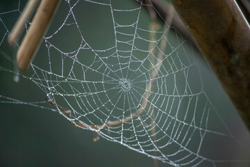 Collected dew drops on spider web during the winter season in low light with noise present.