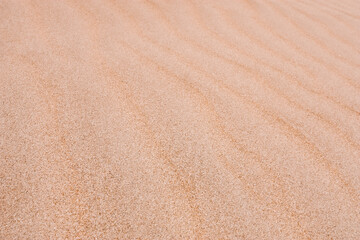 Sand Background