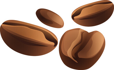 Vector of coffee beans. Coffee beans on a white background. Free space for text. Choosing the perfect grain