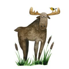 watercolor drawing, clipart. cute moose character. children's illustration forest animal brown elk.
