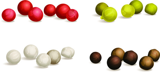 Black, green, white, and pink peppercorns. Vector flat illustration