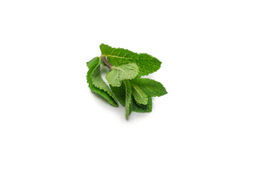 Fresh mint leaves isolated on white background.