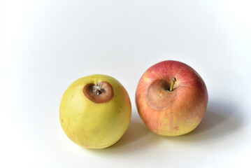 Rotten red and green apple on a white background