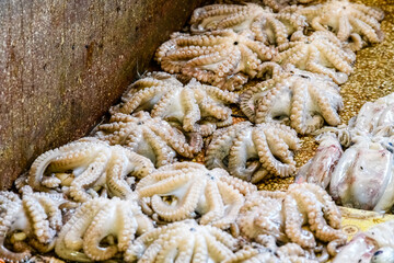Raw octopuses for sale at the fish market