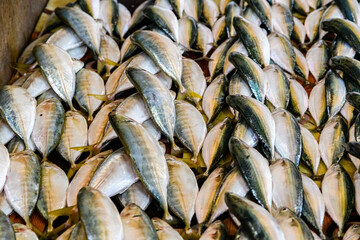 Tuna fish for sale at the fish market