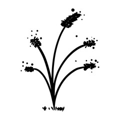 black and white leaves, floral botanical hand drawn vector illustration