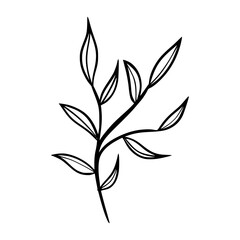 black and white leaves, floral botanical hand drawn vector illustration