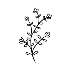 black and white leaves, floral botanical hand drawn vector illustration
